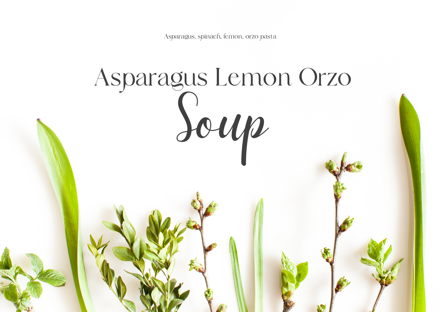 Asparagus Lemon Orzo Soup