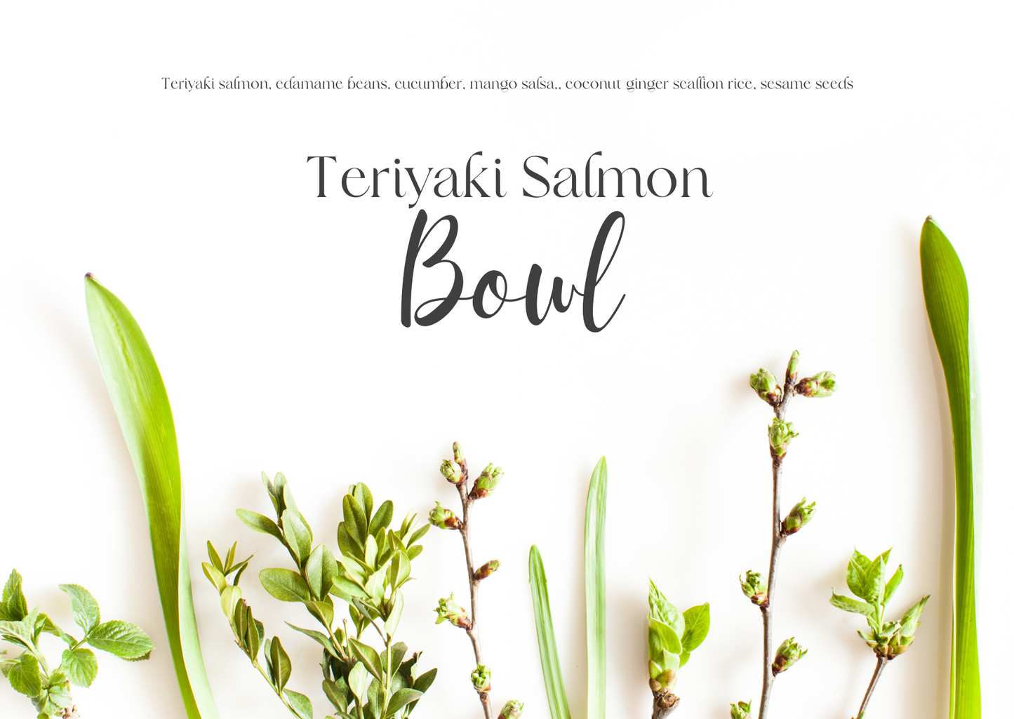 Teriyaki Salmon Bowl