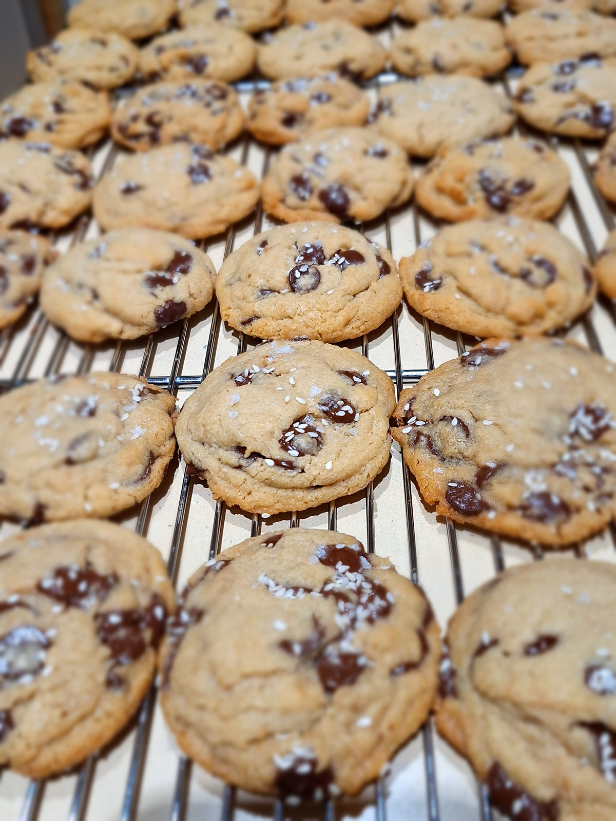 Chocolate Tahini Cookie