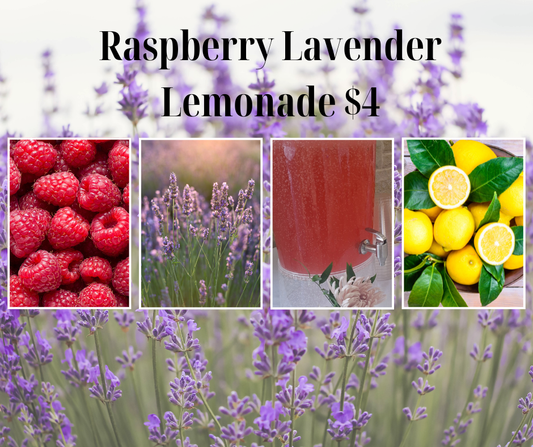 Add raspberry lavender lemonade to your picnic lunch