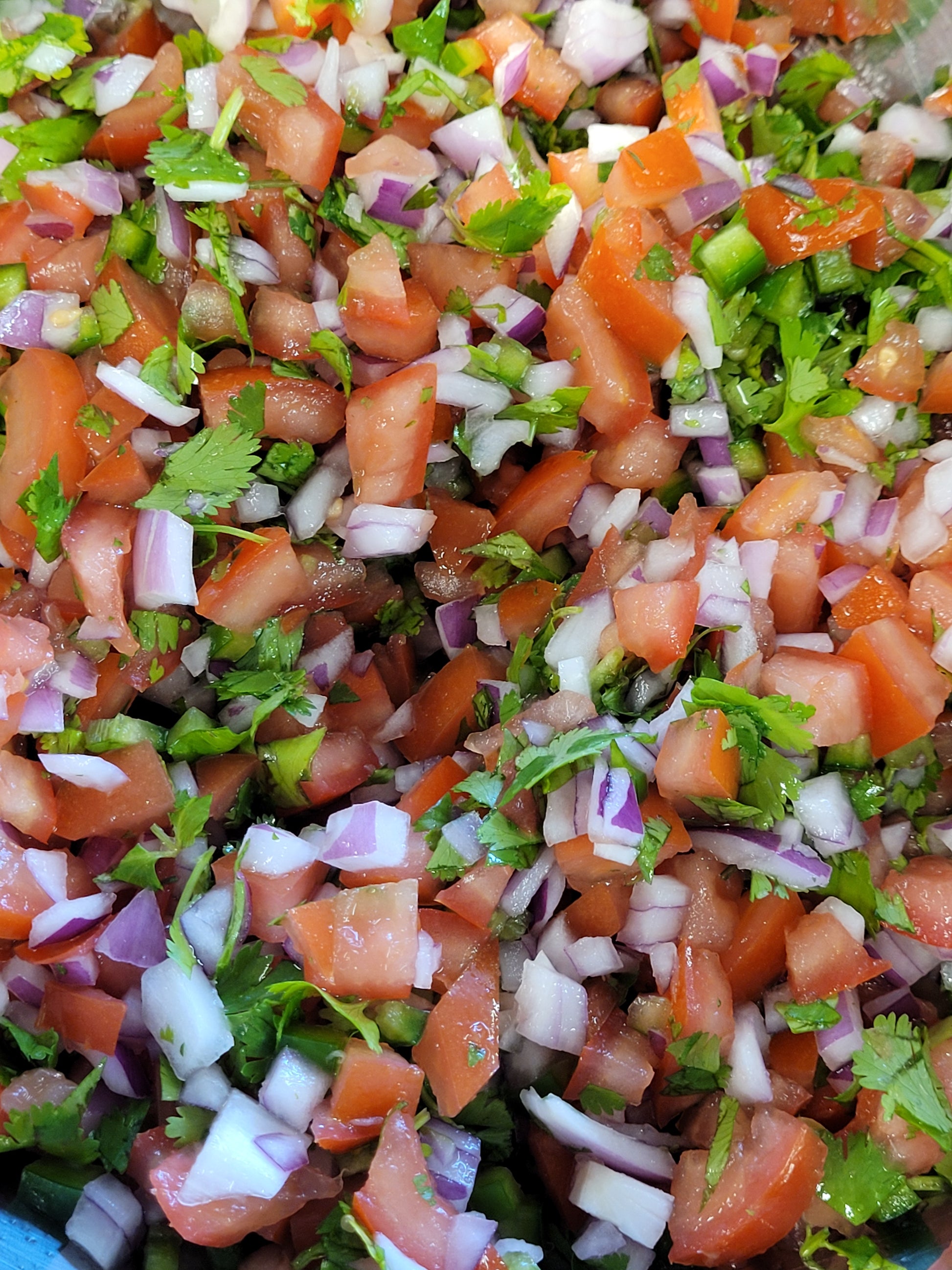 Fresh Salsa 